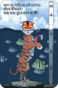 CLIMATE-TIGER-sea-level-front