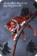 CLIMATE-TIGER-monsoon-front