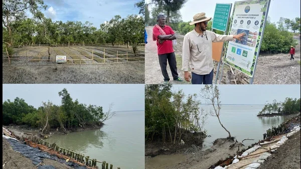 4-Premaya%20-%20Sundarban%20reveg,%20erosion600px-width