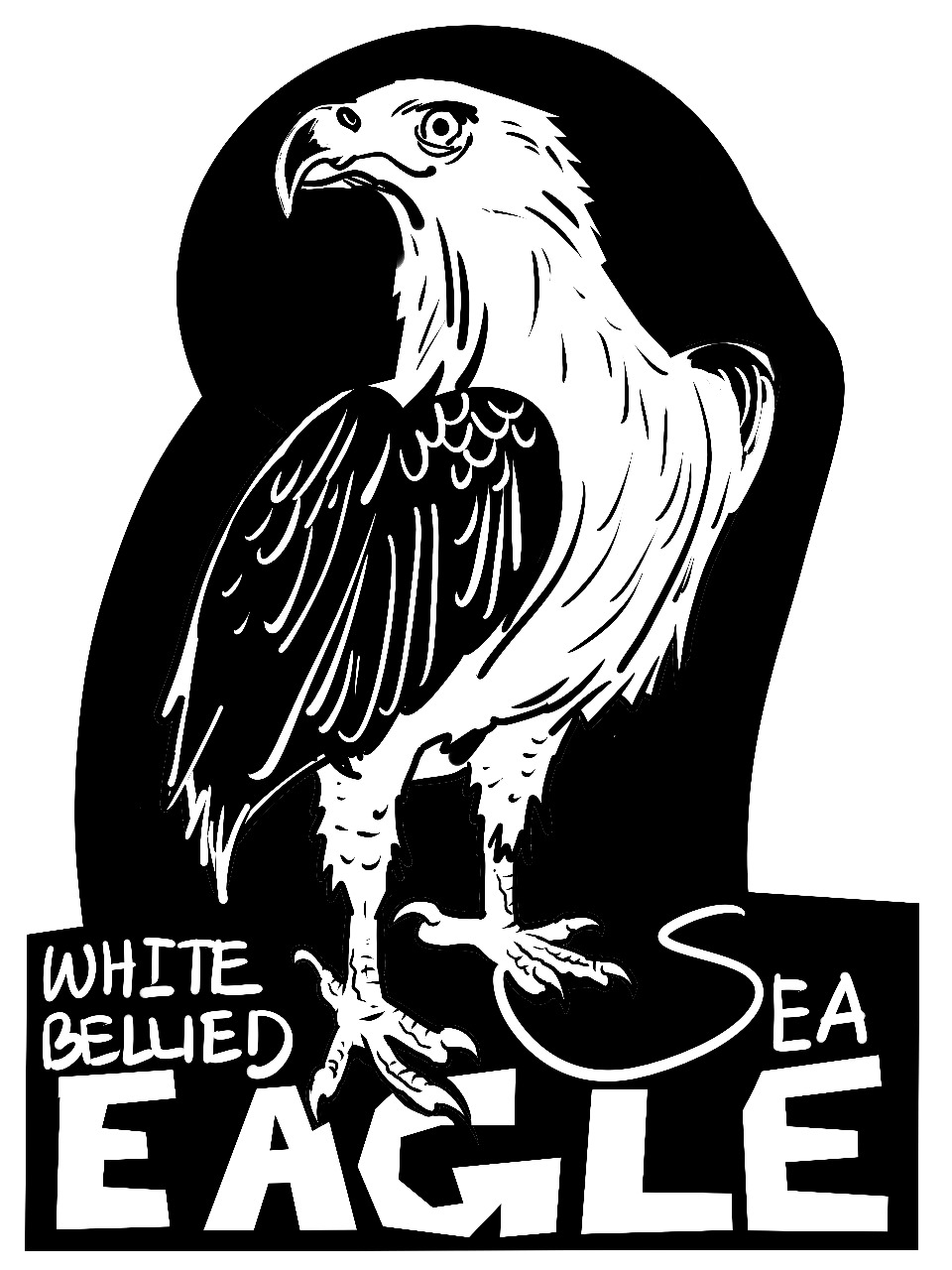 SeaEagle_SumantraMukherjee