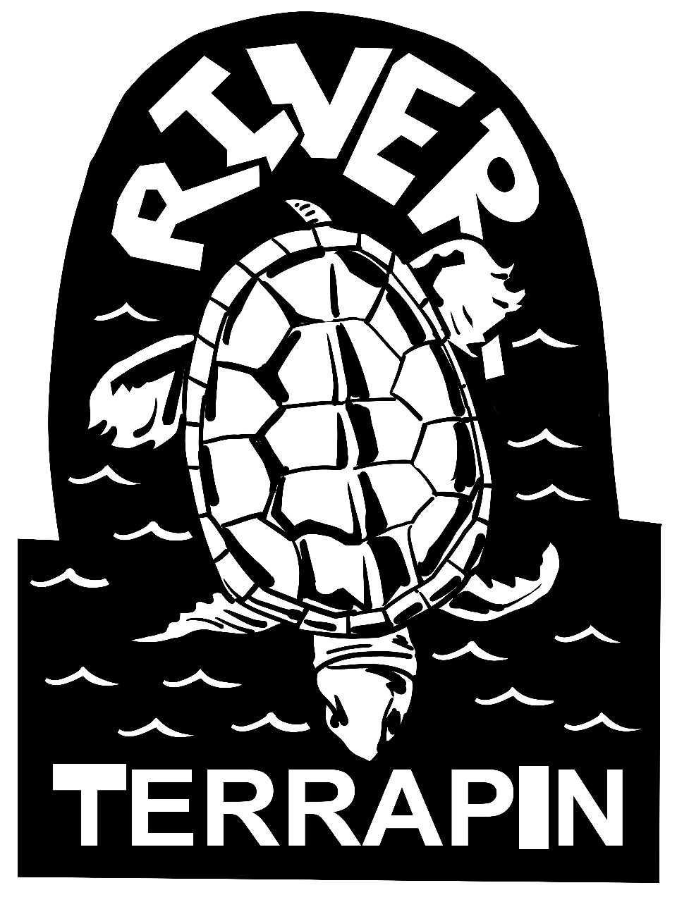 Terrapin_SumantraMukherjee