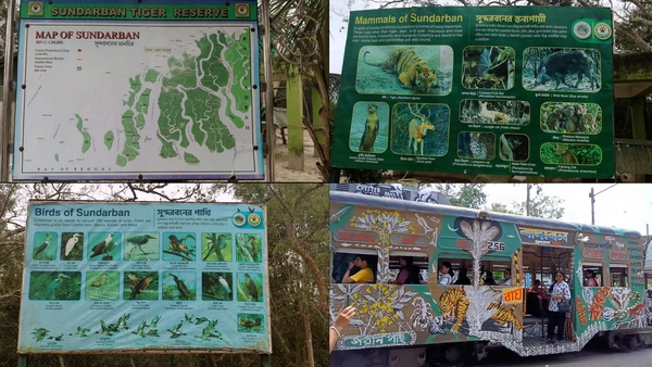 5-2025%20Sundarban%20and%20STJ%20tram600px-width